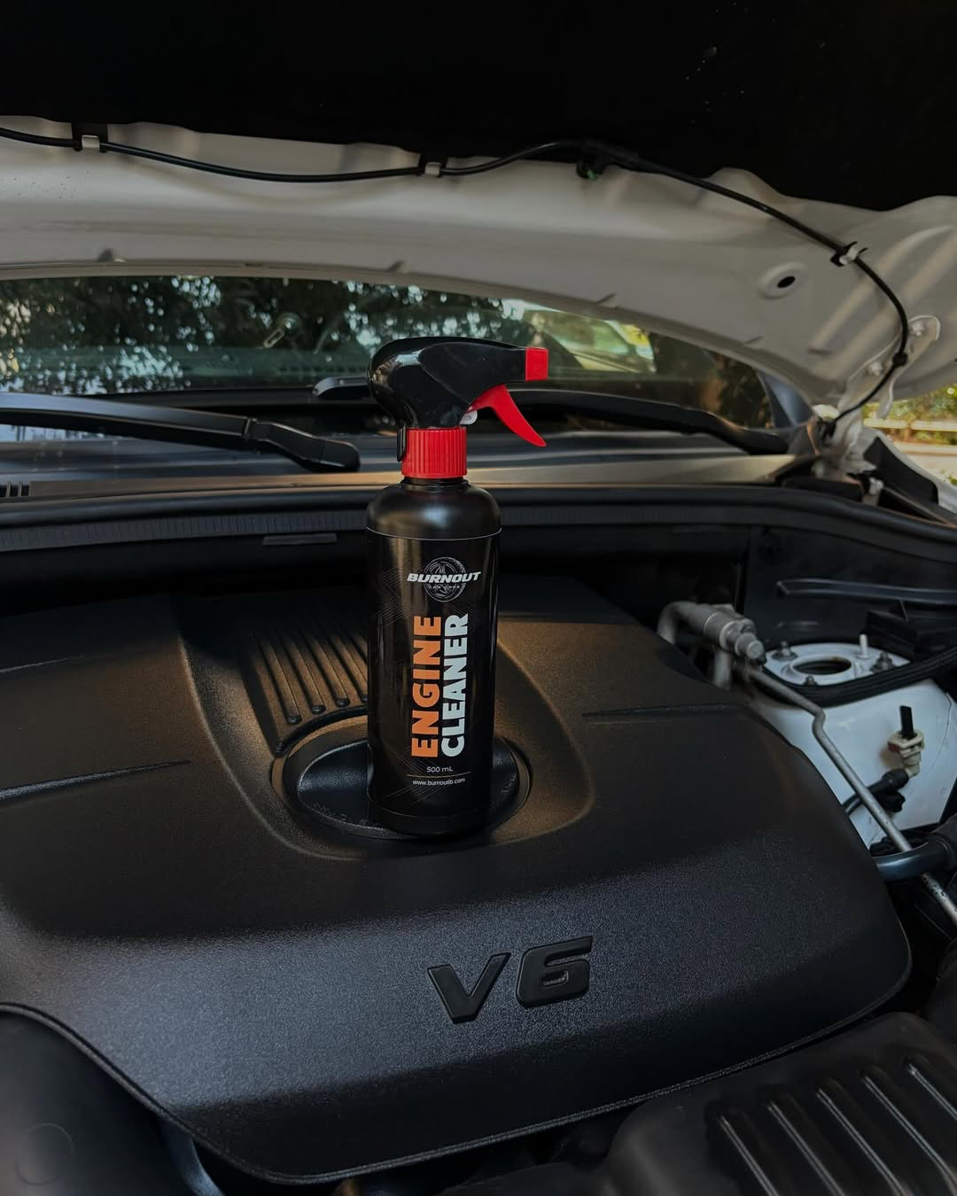 Engine Cleaner 500ml